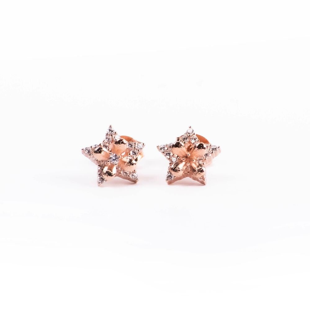 Rose Gold Zircon Star Earrings photo 4