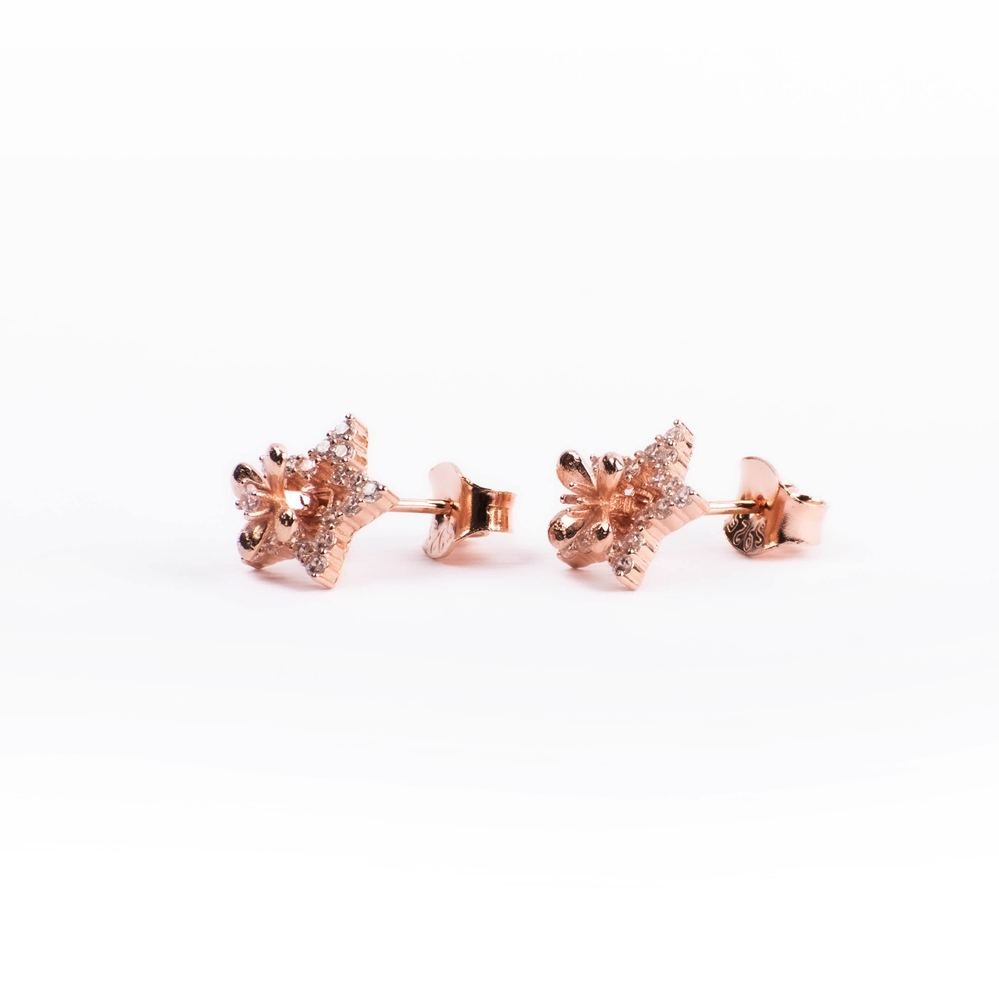 Rose Gold Zircon Star Earrings photo 3