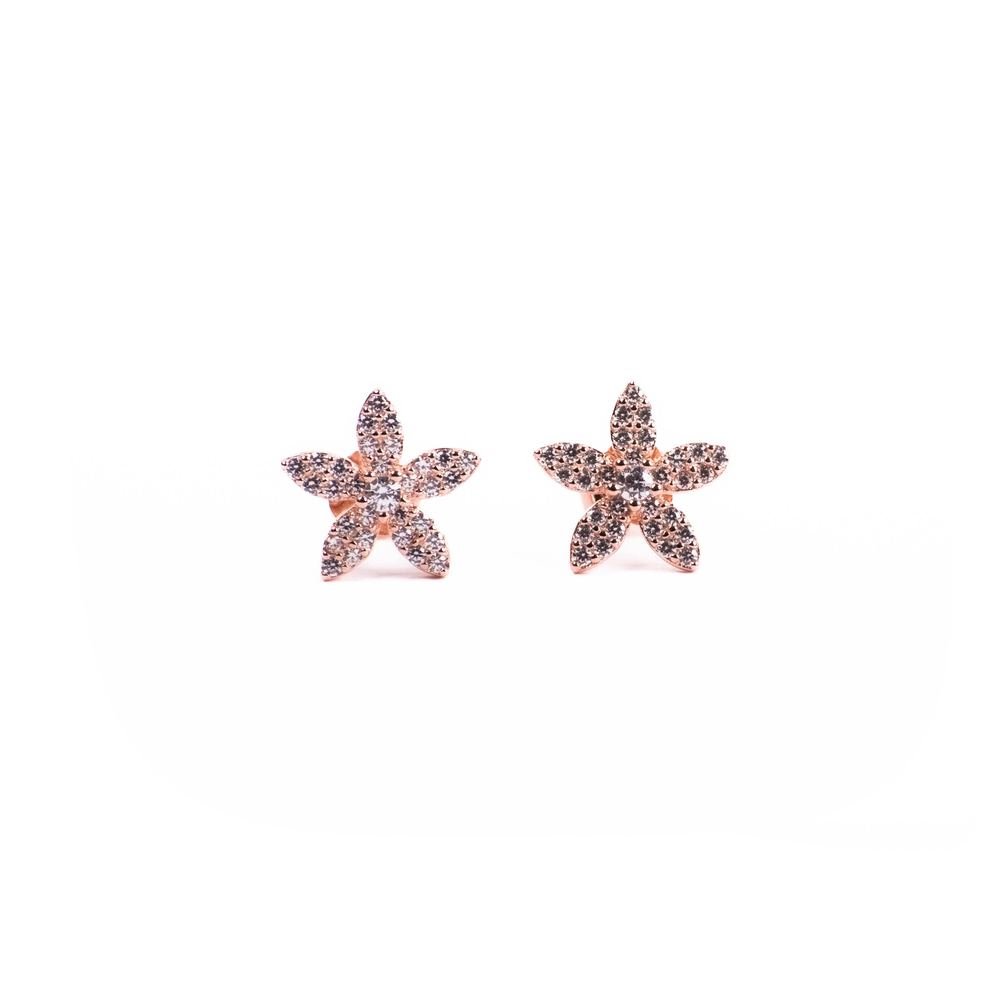 Rose Gold Zircon Star Stud Earrings photo 3